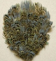 100 Pcs ENGLISH RINGNECK PHEASANT Natural Feathers 6-8" Halloween/Bridal/Costume 100 Pcs ENGLISH RINGNECK PHEASANT Natural Feathers 6-8" Halloween/Bridal/Costume