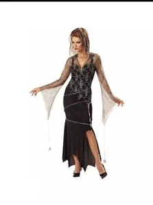 California Costumes Adult Large Spider Goddess Witch Costume w/ Hanging Spiders - Picture 1 of 8