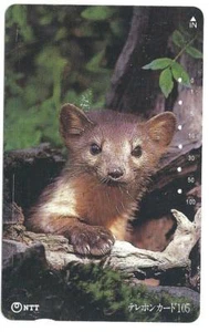4876 Phonecard Japan 231-100 Stoat - Picture 1 of 1