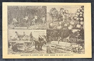 MULTI~IMAGE AD POSTCARD MARTIN’S EXAGGERATIONS~CROPS ARE VERY GOOD OUR LOCALITY - Picture 1 of 2