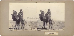 Algerien Biskra بسكرة Foto Stereo N1 Vintage Analog - Picture 1 of 1