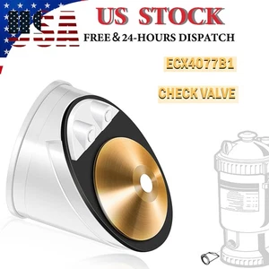 ECX4077B1 Check Valve for Hayward Perflex/Easy-Clear/Star-Clear/ASL/RegenX D.E. - Picture 1 of 7