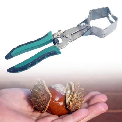 Chestnuts Clip Chestnuts Sheller Chestnuts Burr Remover Sturdy Quick Easy to Use - Image 1 of 4