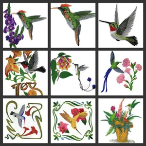 Humming Bird Collection No. ii Embroidered Iron On Patch - Picture 1 of 12