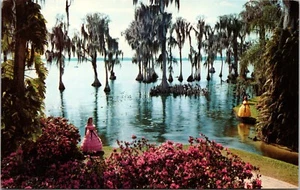 Postal de Cipreses Musgo Español Lago Eloise Orilla Jardines de Ciprés Florida - Imagen 1 de 2