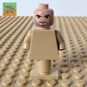 LEGO Star Wars, Clone Wars: Captain Rex HEAD ONLY, sw0314, 7869, GEONOSIS, 2011 - Picture 1 of 6