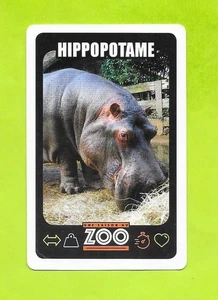 Karte Eine Saison im Zoo - Nilpferd - Bild 1 von 2