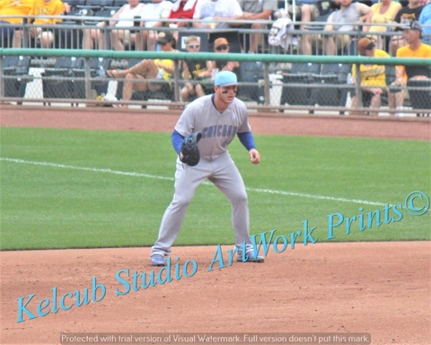 Chicago Cubs Anthony Rizzo Game Action Original Pic Various Sizes PhotoArt Cover