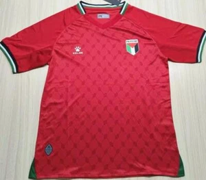 JERSEY Palestino Away 2025-26 - Picture 1 of 2