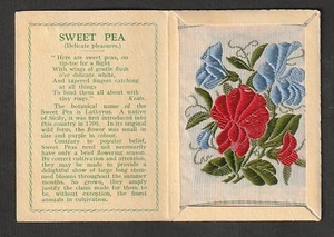 Carpeta Kensitas Flor de Seda Mediana DULCE GUISANTE Diseño Variedad ROJO Y AZUL A - Imagen 1 de 2