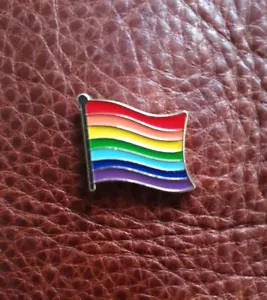 π LGBT Pride Rainbow Flag Enamel Lapel Pin LGBTQ+ Badge - Foto 1 di 6