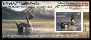 RW91A — 2024 Federal duck stamp - Picture 1 of 1