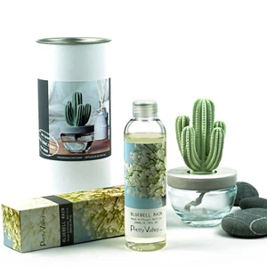  Pretty Valley Home Cactus Keramik Diffuser Combo (Bluebell Rain) Duft 200ml - Bild 1 von 4