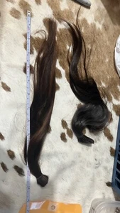 2 Fresh Cut Virgin Human Hair 10” Natural Medium Brown - Picture 1 of 5