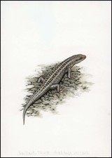 1986, Kap Verde, (500) Original - 1779220