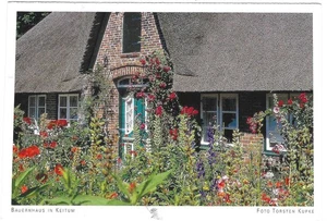 Vintage Deutschland Chrom Postkarte Keitum Bauernhaus Bauernhaus Blumen - Bild 1 von 2