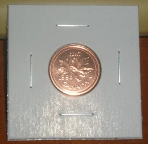 Canada 1998w Prooflike Penny One Cent Small Cent Coin W Mint Mark Winnipeg 1998 - Picture 1 of 2