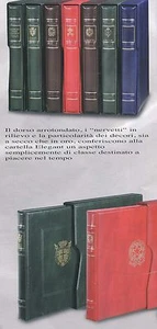 Cartella CON CUSTODIA elegant SMOM - 22 ANELLI colore VERDE - Imagen 1 de 1