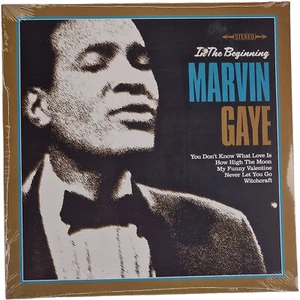 Marvin Gaye – IN The Beginning Vinyl, LP, Compilation 2023 Factory Sealed - Picture 1 of 5