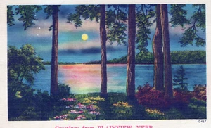 Grüße aus Plainview Nebraska Leinen Postkarte 3,5"x5,5" #45467 - Bild 1 von 2