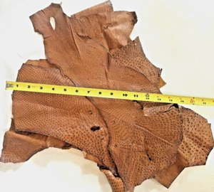 Ostrich Leg skin leather, genuine ostrich leather, exotic leather 10 pcs lot - Picture 1 of 8