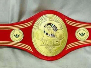 WBC limited edition World Boxing championship replica 4mm champion belt - Picture 1 of 7