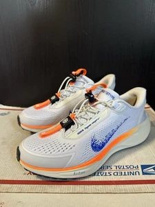 Nike Wmns Air Zoom Pegasus 41 EasyOn 'Blueprint Pack' HM0375 900 Größe 8 - Bild 1 von 8
