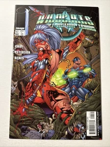 Wildcats #47 NM C.A.T.S Covert Action Teams Ed Benes Variant Cover Jim Lee - Picture 1 of 2