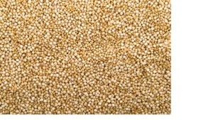 Go Whole Foods - Raw White Quinoa Grain-4kg | Suitable for Vegans | £5.99 per kg - Picture 1 of 1