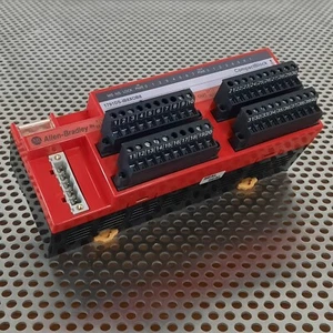 Módulo de E/S protector de bloque de 16 puntos ALLEN BRADLEY 1791DS-IB8XOB8 DeviceNet SER A - Imagen 1 de 6