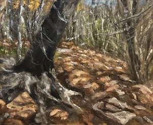 Shadows In New Mexico - Original Oil Painting - Picture 1 of 1