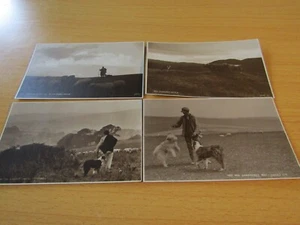 4 B/W postcards, early 20thC of Shepherds with their dogs. - Picture 1 of 2