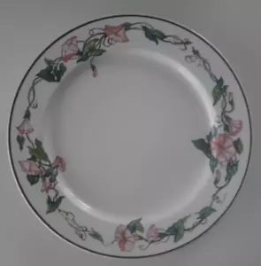 TOP ZUSTAND: Villeroy & Boch PALERMO KUCHENTELLER DESSERTTELLER 17 cm - Bild 1 von 2