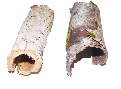 Rindenhöhlen 2 St.  Terrarium Hamster Reptilien Dekoration, unbenutzt! - Bild 1 von 3