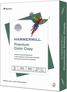 Druckerpapier, Premium Farbe 32 Pfund Kopierpapier, 8,5 x 11-1 Stapel (500 Blatt) - 10 - Bild 1 von 8