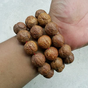 Brazalete Genuino Buda Chitta Ziziphus Budhensis Semilla Indonesia Phrengba Bodhi - Imagen 1 de 9