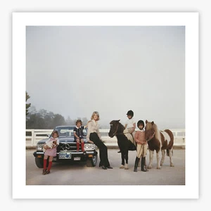 Anne Anka (Matte or Gloss Poster/Print) #7959 - Picture 1 of 4