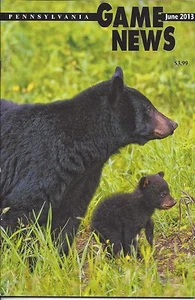 Pennsylvania Game News June 2013 cover by Tim Flanigan black bear cub - Picture 1 of 3