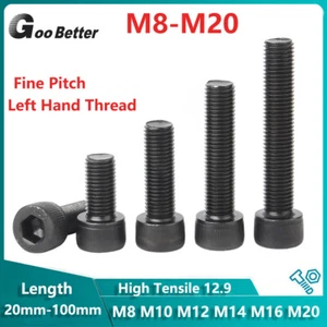 Left Hand Thread Fine Pitch Allen Bolt Socket Cap Screw 12.9 M8 M10 M12M14M16M20 - Picture 1 of 9