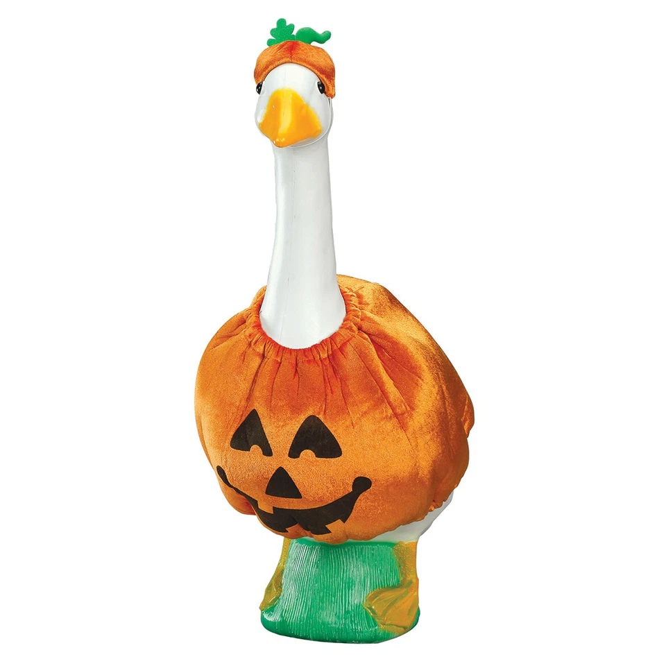 Miles Kimball Pumpkin Goose Outfit