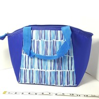 igloo ringleader compartment tote