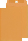 Clasp Envelopes - Brown Kraft Catalog Envelopes 6X9 Inch - 30 Pack - with Clasp