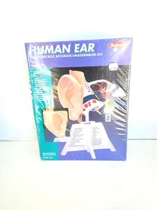 SKILCRAFT Human Ear MODEL KIT LEVEL 2 Made In USA 2004 Version Kit # 71337 - Picture 1 of 9