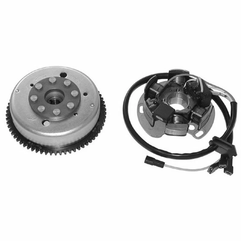 168536 VOLANO COMPLETO Sm ORIGINALE DERBI 50 GPR Replica / GPR Replica E2 2008