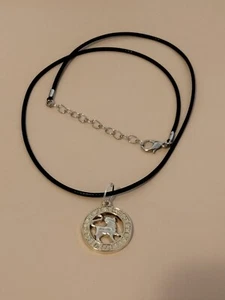 Collana segno zodiacale Leone, ciondolo oro e argento Oroscopo Zodiaco, regalo! - Foto 1 di 1