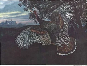 Dawn Flight Print - George Boutwell - Picture 1 of 1