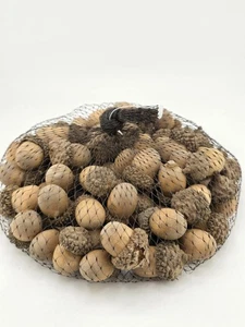 Bag of Wooden Brown Acorns 8oz - Picture 1 of 6