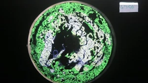 Proiettore otticinetica ruota olio BUBBLE VISION solare 250,575,AURA - Foto 1 di 1