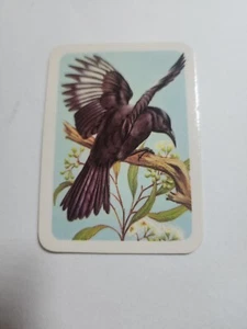 Australiana bird studies card - # 287 - free postage - lot 3 - Picture 1 of 2