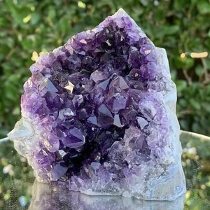 730g 10x9x8cm Purple Amethyst Cluster Cutbase Grade A from Uruguay - Picture 1 of 4